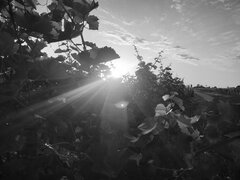 IMG_20250703_202636.jpg