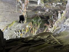 IMG_5357.jpeg