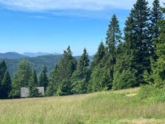 IMG-20250705-WA0055.jpg