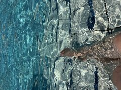 IMG_2336.jpeg