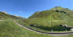 IMG_9691.jpeg