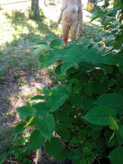 IMG_20250702_092828.jpg