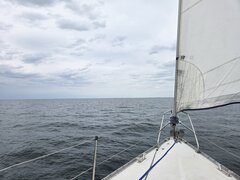 1000005378.jpg