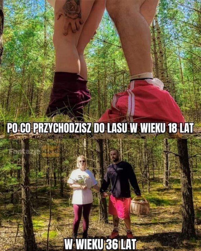 pldarek