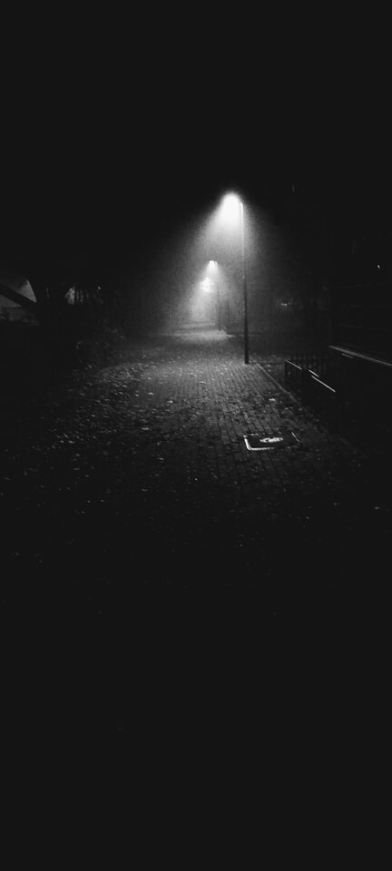 1000006125.jpg - MortimerM