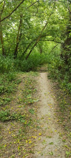 IMG_20250706_103623.jpg