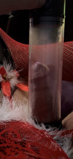 IMG_2447.jpeg
