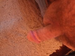 IMG_20250709_154835137.jpg