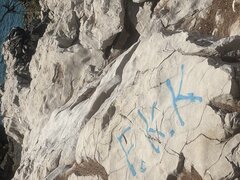 IMG_1131.jpeg