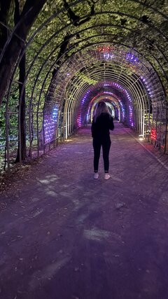 IMG_2026.jpeg