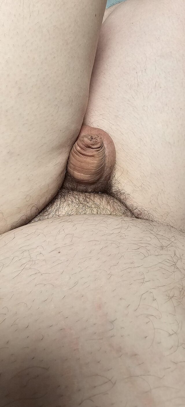 Bibear84