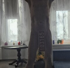 20250712_180258.jpg
