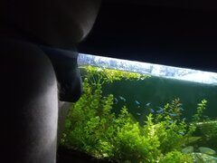 IMG_20250713_223333203.jpg