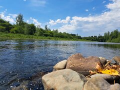 20250714_145450.jpg