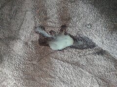 IMG_20250624_055625361.jpg