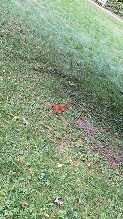 IMG_6133.jpeg