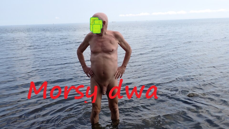 Plażowania dalszy ciąg. - Morsy_dwa