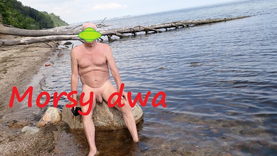 Plażowania dalszy ciąg. - Morsy_dwa