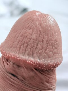 IMG_7941.jpeg