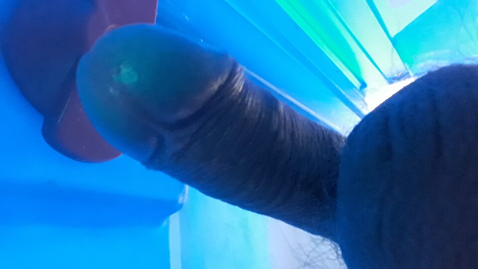 20250717_070801.jpg - 11igor11