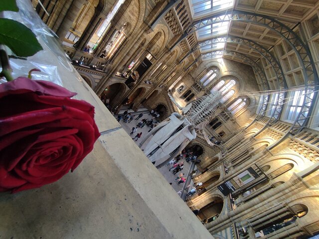 mr_max_92
