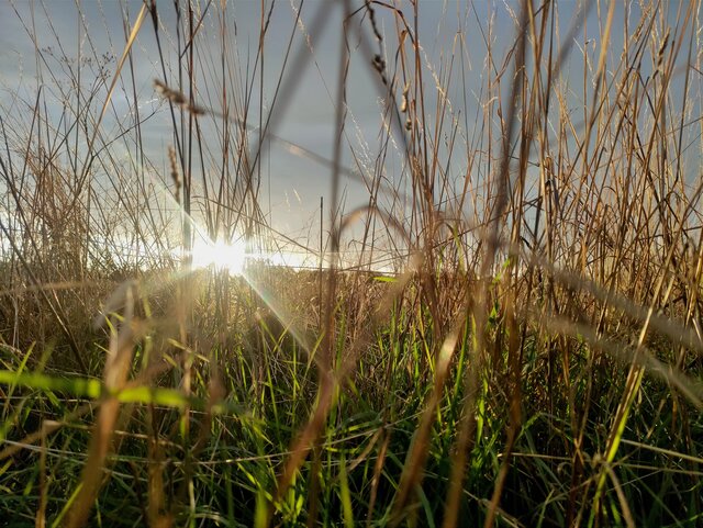 mr_max_92