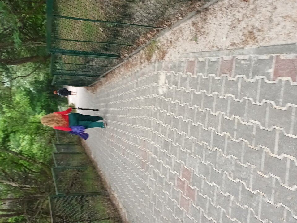 20250718_085507.jpg - Piotr45real