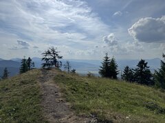 IMG_3143.jpeg
