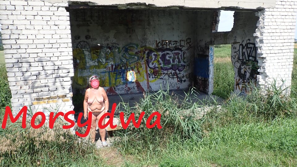 Znowu w drodze. W morzu - sinice?!? - Morsy_dwa
