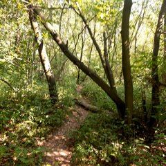 20250719_154351.jpg