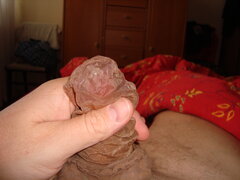 DSC02987.JPG