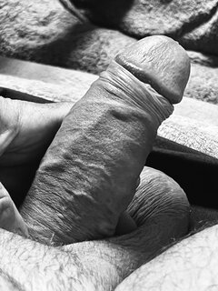 IMG_2920.jpeg