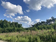 IMG_4728.jpeg