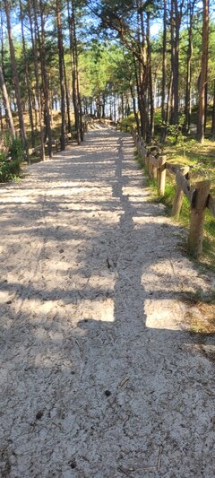 20250720_090821.jpg