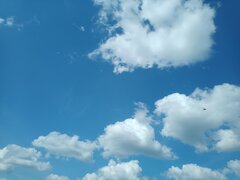 IMG_20250720_120153_552.jpg
