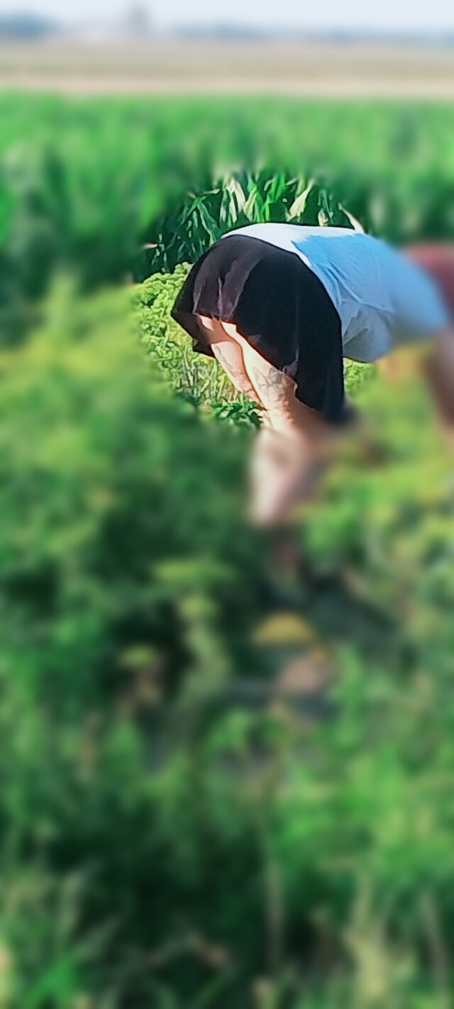 aagga