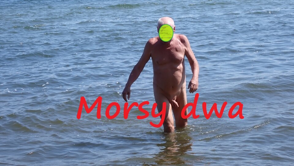 Plażowanie. - Morsy_dwa
