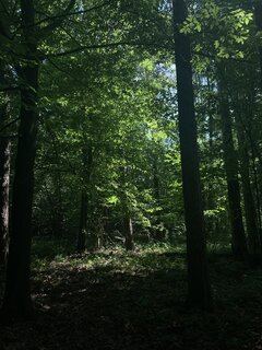 IMG_4738.jpeg