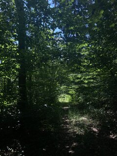 IMG_4739.jpeg