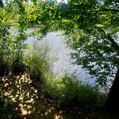 20250721_150110.jpg