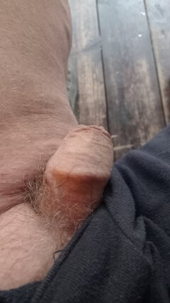 IMG20250722083457.jpg