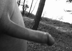 1000010535.jpg