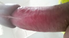 20250723_073329.jpg