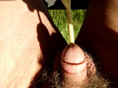 IMG_0040.JPG