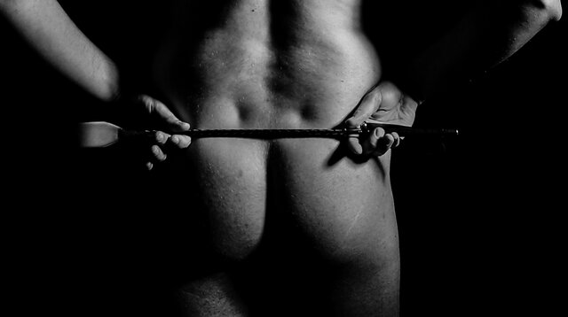 sexiiaart