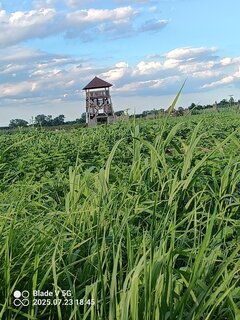 IMG_20250723_184520_432.jpg