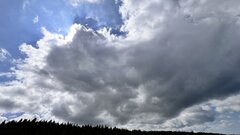 IMG_2328.jpeg