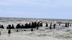 IMG_2337.jpeg