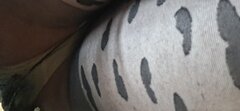 1000010298.jpg