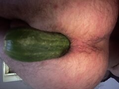 IMG_1372.jpeg